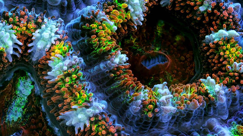 thecreatorsproject-2